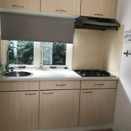 Veluwe Chalet 121 Holiday home
